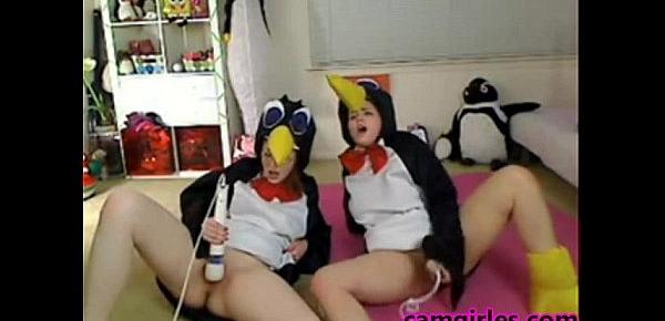  Teen Penguins Cam Free Funny Porn Video